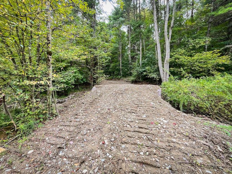 Chemung_60.55_Baumunk_Photos_7