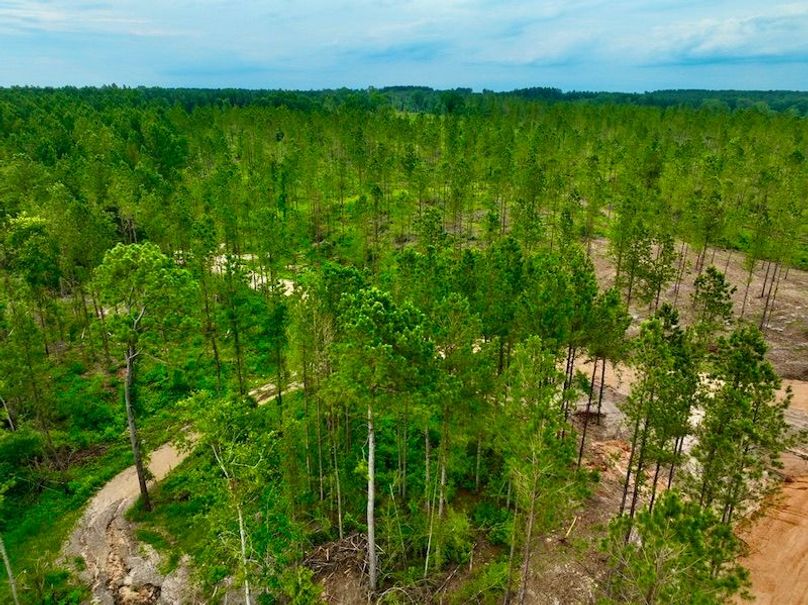 3305FE59-62C6-4D8E-B046-411A71CF9CF1_1_105_c