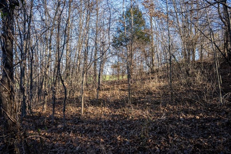 Copy of DSC00674 Large