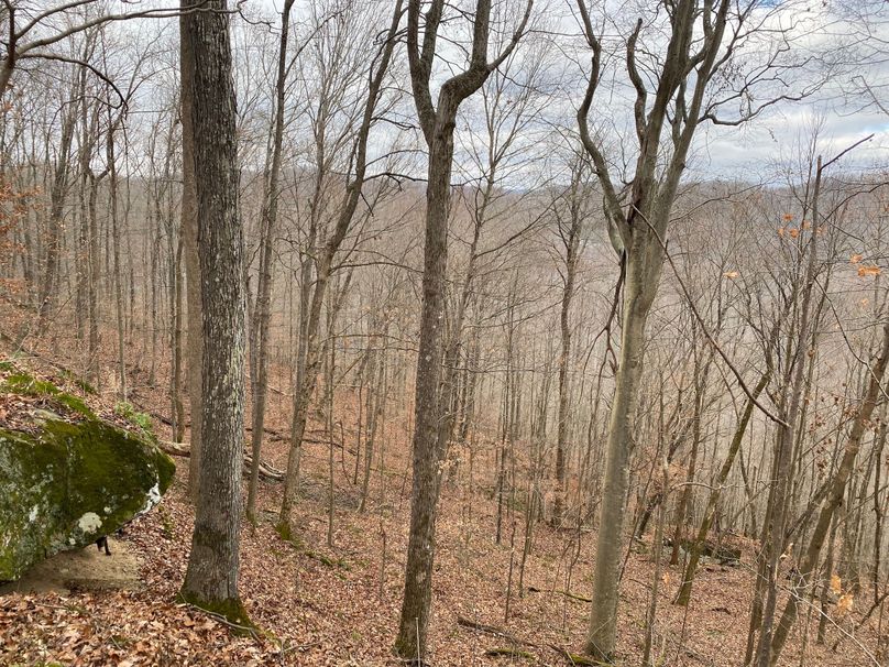 008 deep valley below in the northeast area of the property copy