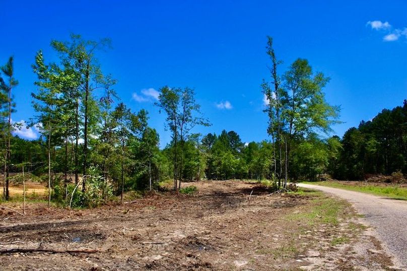 4F1259FF-32E1-44D1-81BB-B586F87577EA_1_105_c