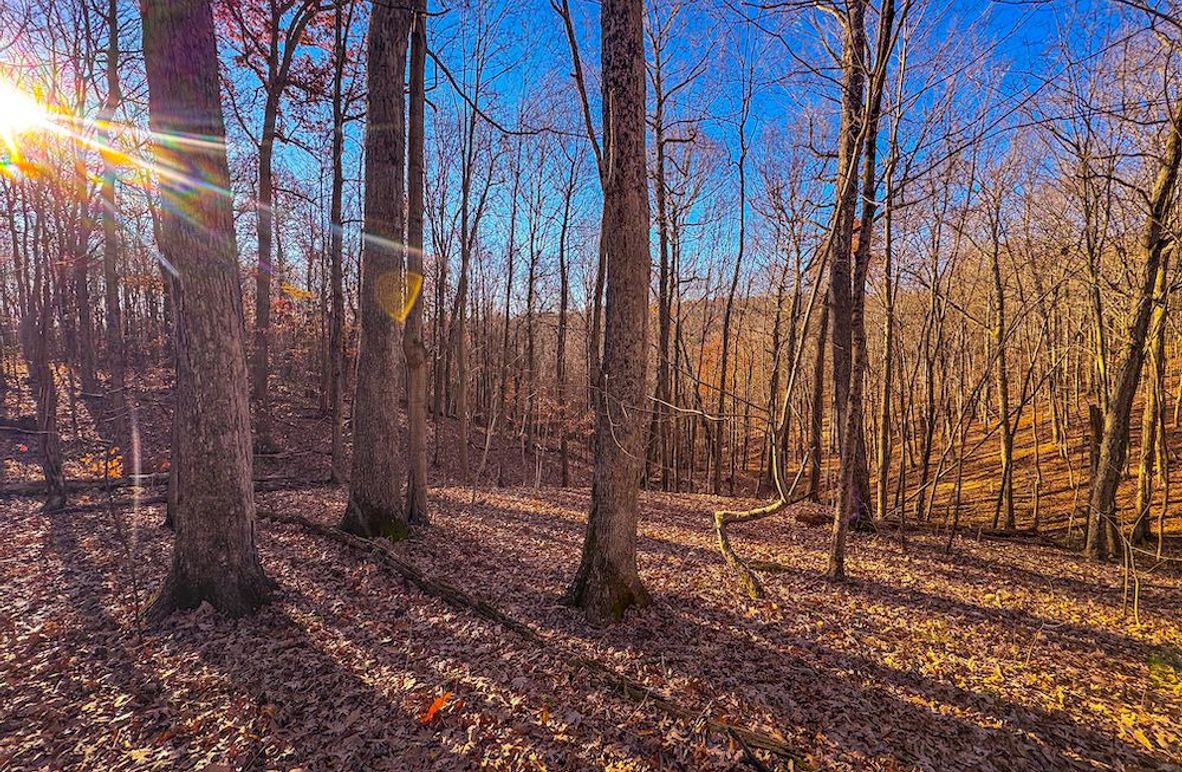 Pleasants_Wood 169.97 AC Cokeley-01