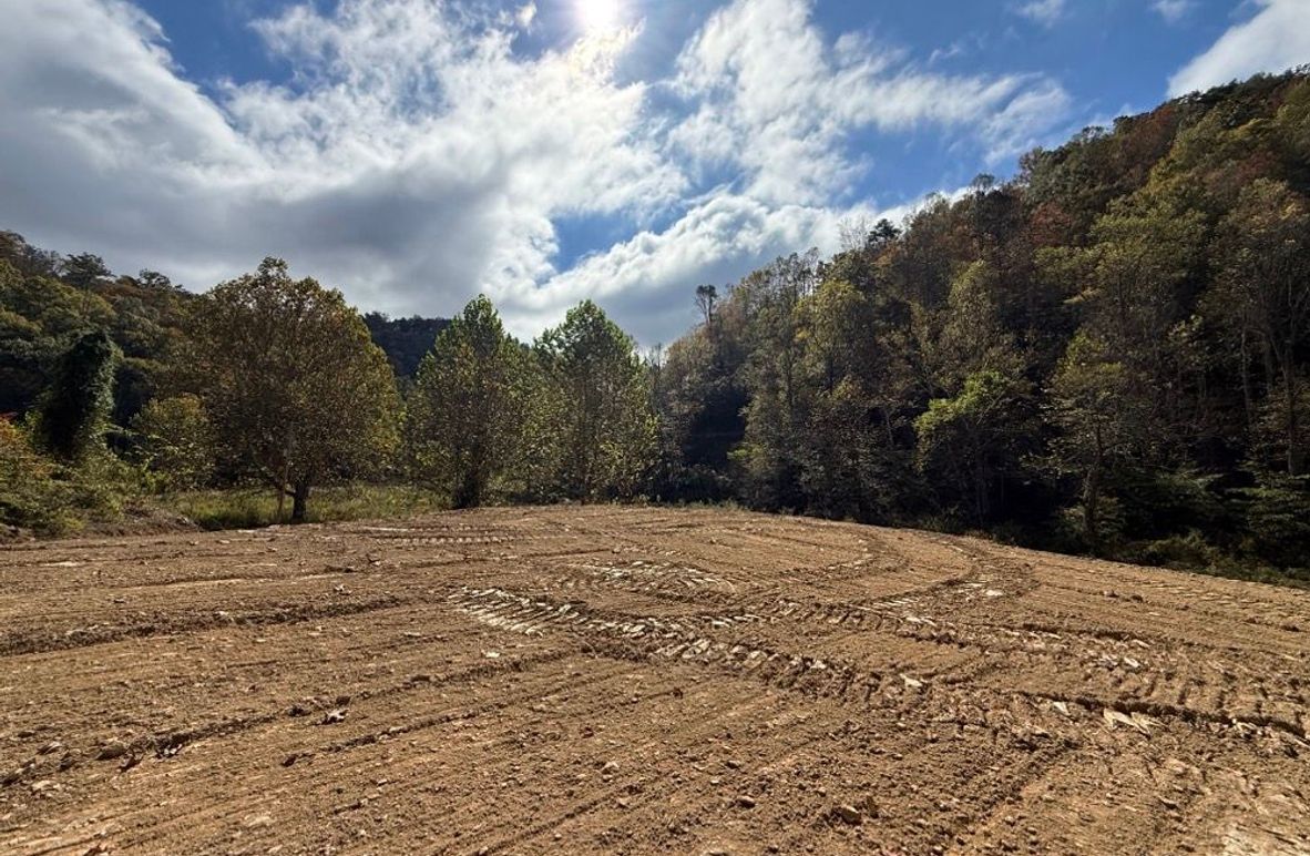 002 the view out what could be your front door!