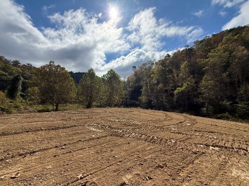 002 the view out what could be your front door!