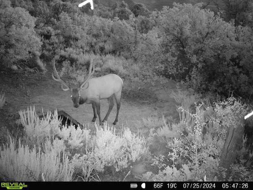 860516060007964-100-2-07252024054726-V-W1002332