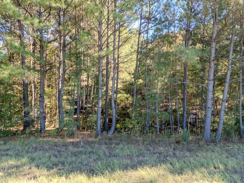 47 Edited drone rusk 67ac-78