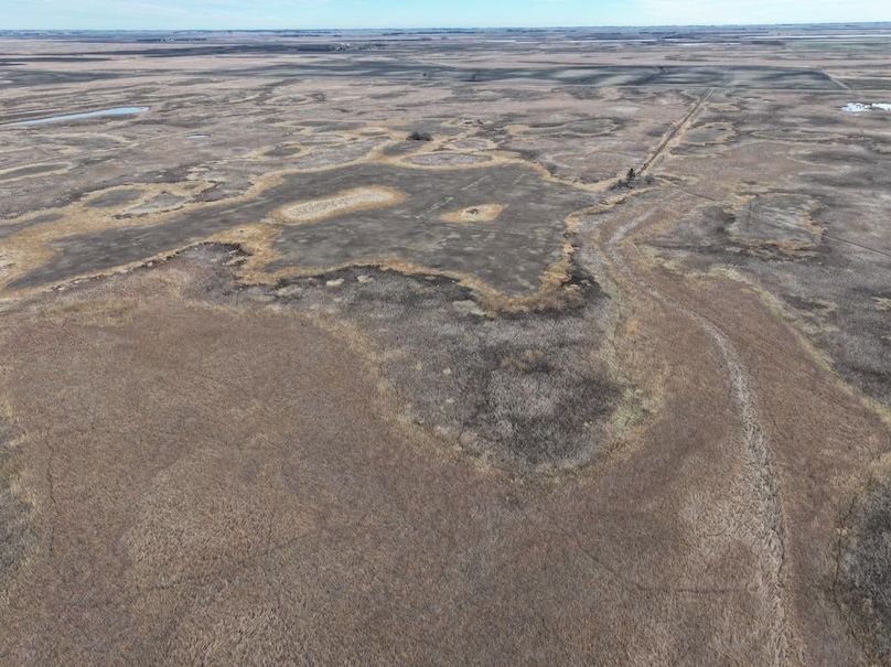 DJI_20241118113201_0322_D