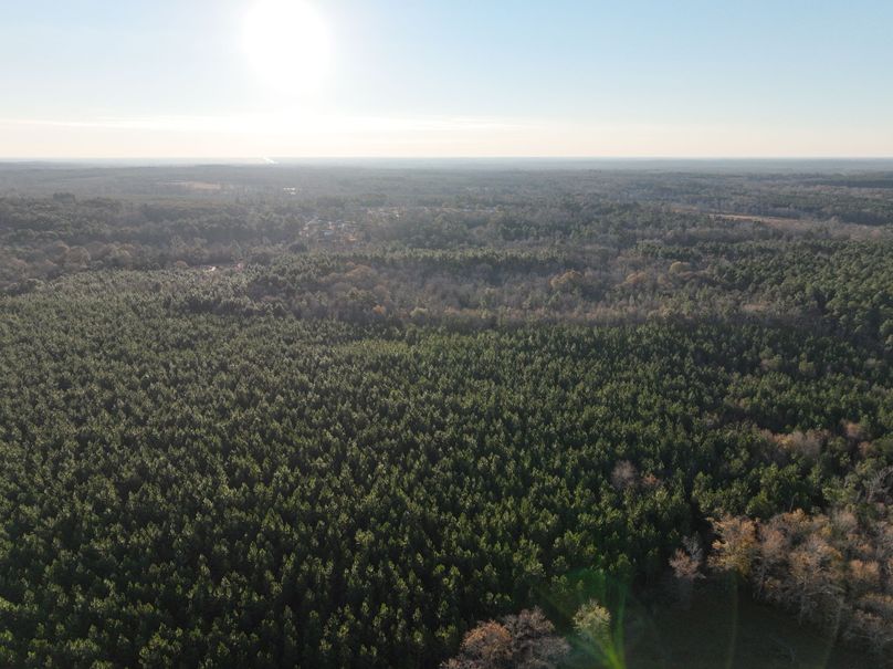 dji_fly_20231229_082556_981_1703856691997_photo