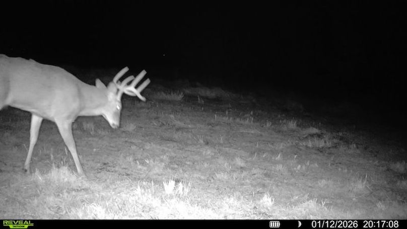 016687000749099-94-3-01122026201708-SYFW04691