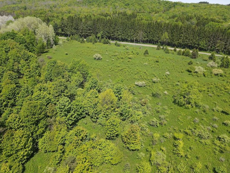 DJI_0431