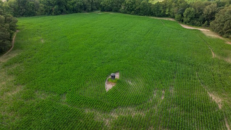 Copy of DJI_20250807063331_0015_D Large