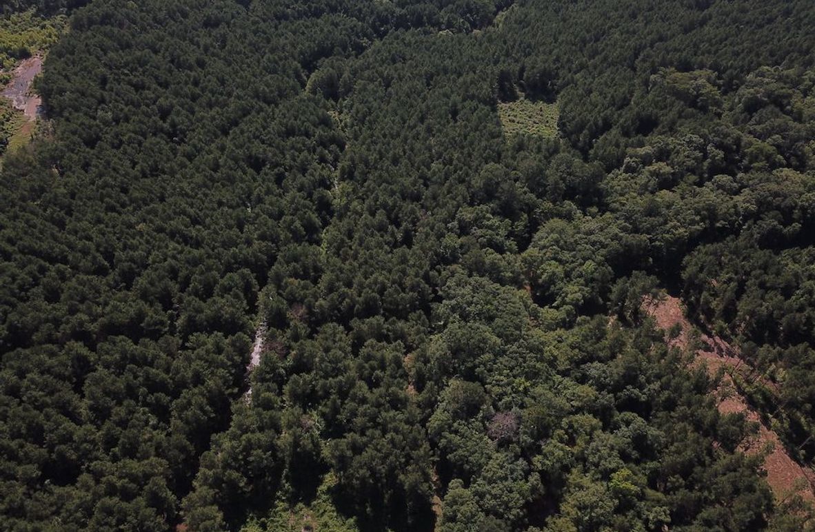 DJI_0007