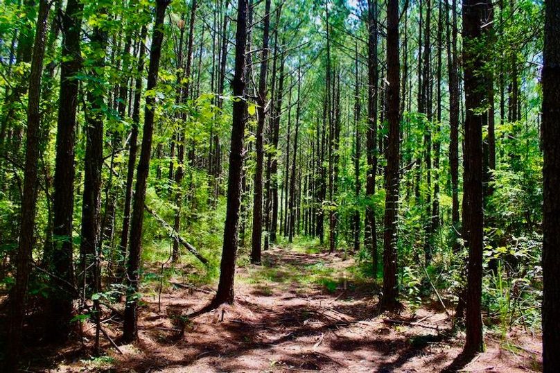 273D8DBF-9181-4FFD-8CE0-697E1E3B3E26_1_105_c