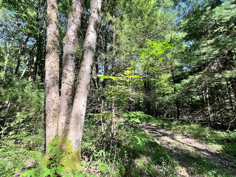 Oswego_24_Frank Photo 52