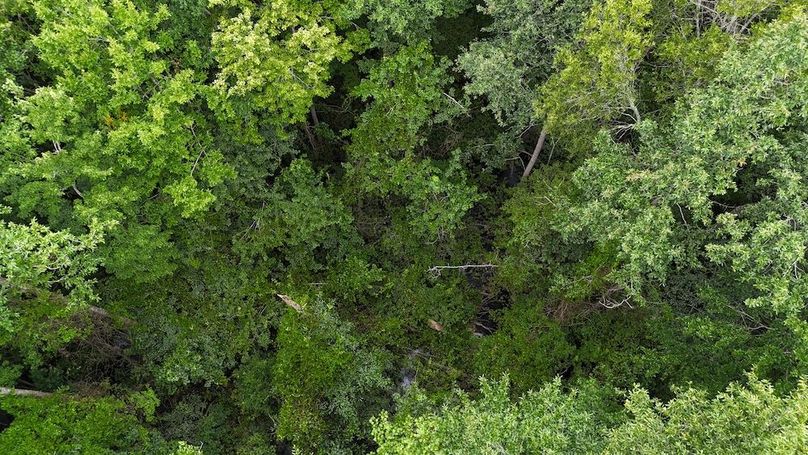 dji_fly_20250715_130744_0646_1752599373157_photo