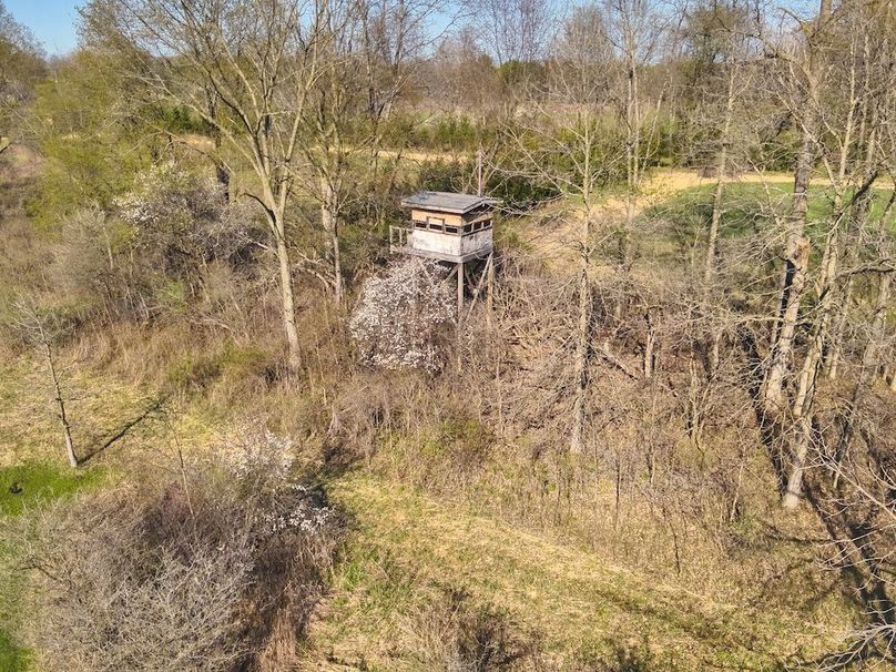 121 Custom Elevated Central Blind