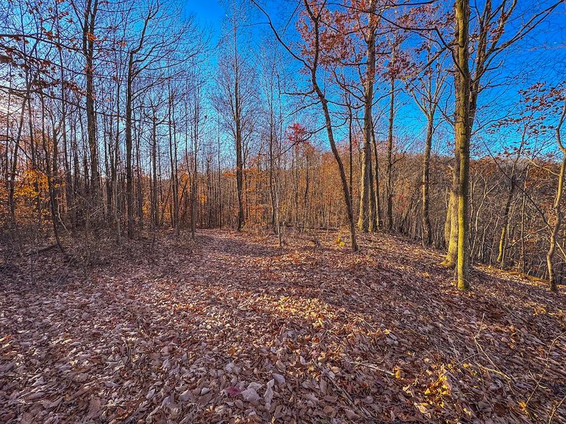 Pleasants_Wood 169.97 AC Cokeley-56