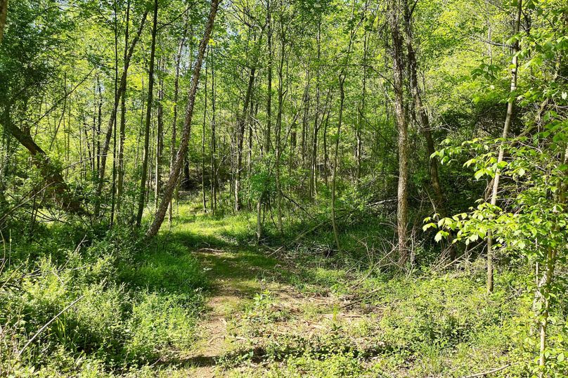 22 Trail 06