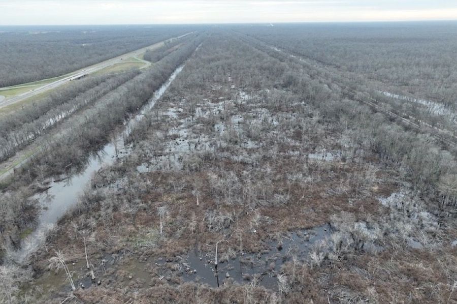 dji_fly_20250206_103146_967_1738862303211_photo