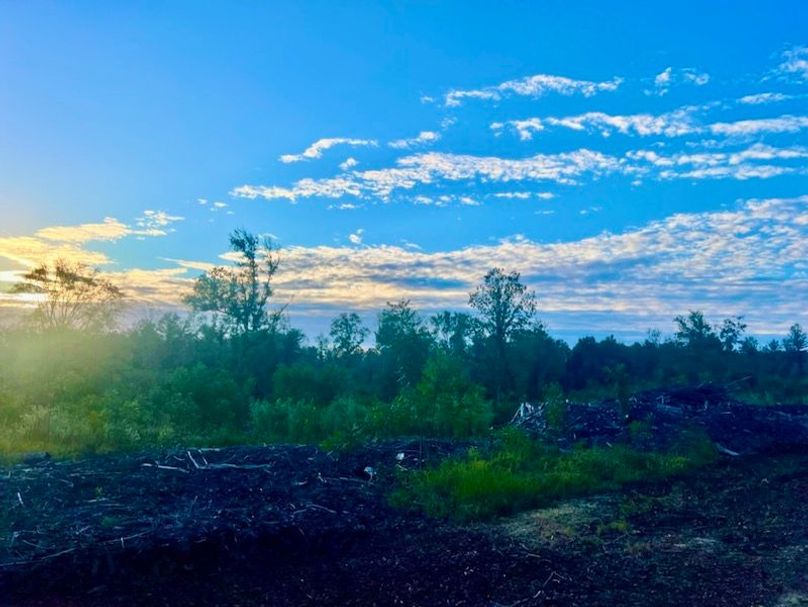 A1CAD687-FE01-470B-92E8-E7BE0AFB0882_1_105_c