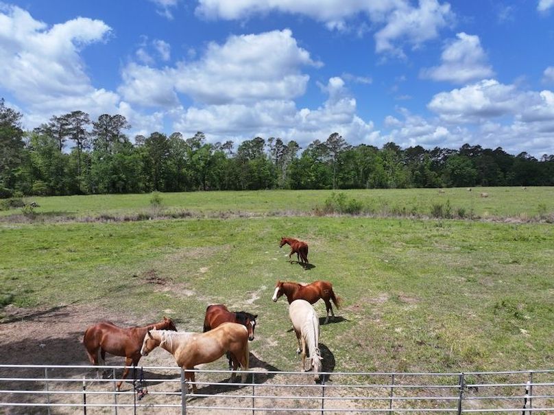 dji_fly_20260414_102904_0071_1776201096908_photo