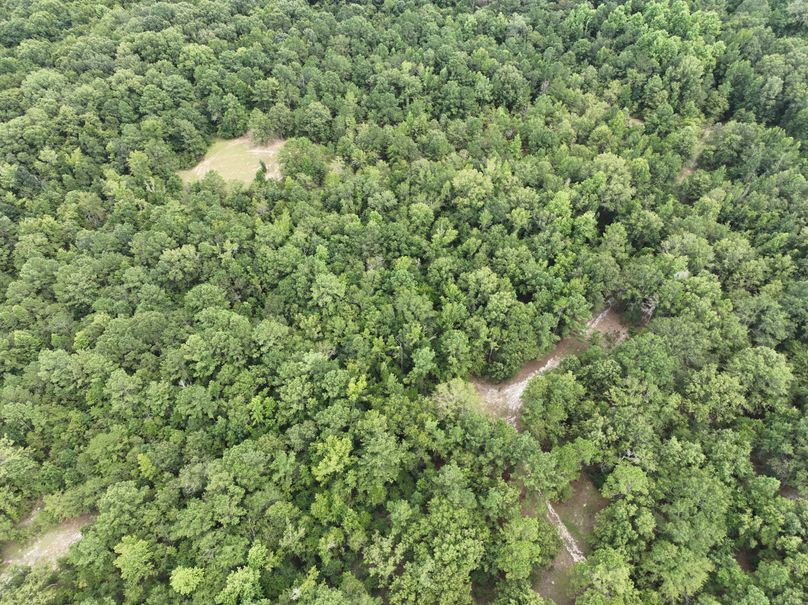 dji_fly_20230727_170114_387_1690507713866_photo 3