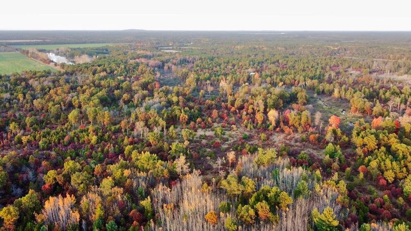 dji_fly_20241011_174808_441_1728687465904_photo_optimized 2