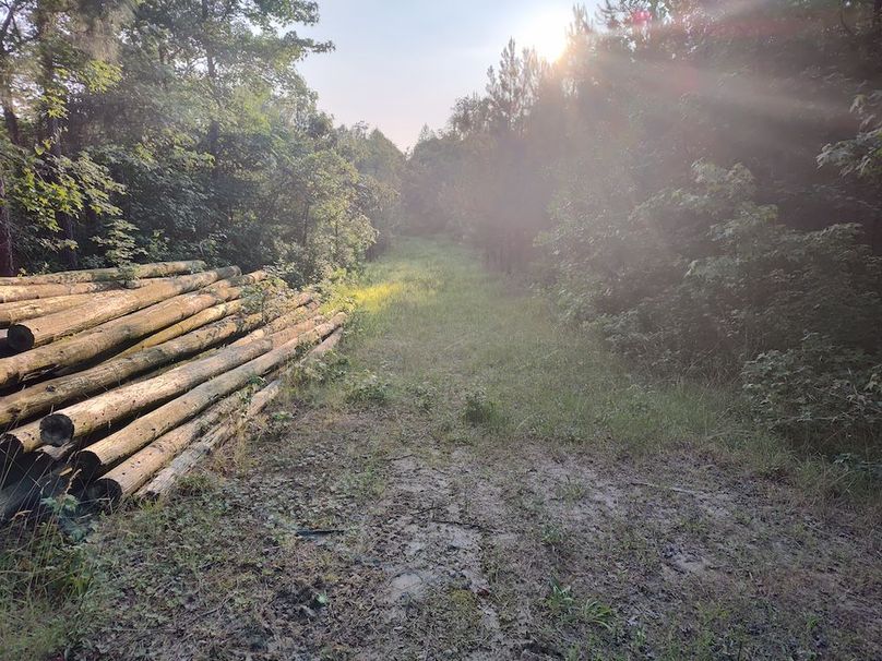 IMG_20250611_191430512_HDR