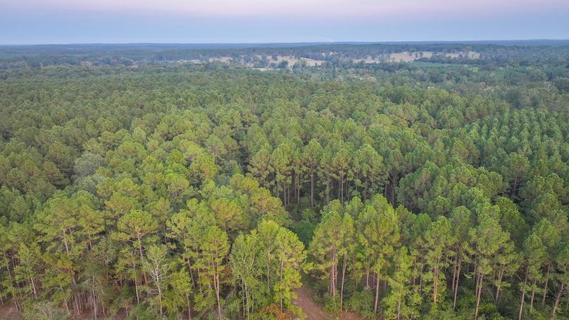 DJI_20250918185527_0292_D