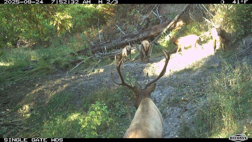 AC7AF39B-266C-4BBC-8BC1-AB2CA26B8C61