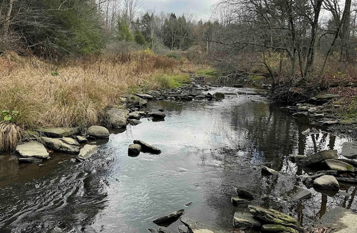 Screenshot 2025-01-20 at 11.42.04 AM