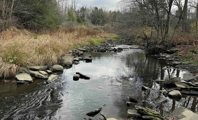 Screenshot 2025-01-20 at 11.42.04 AM