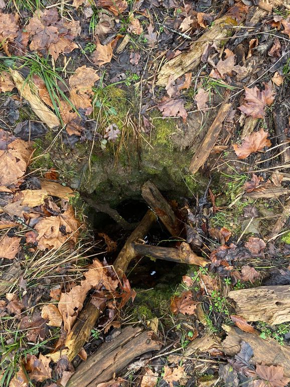 Greenup Ky Mauk 46.15 08