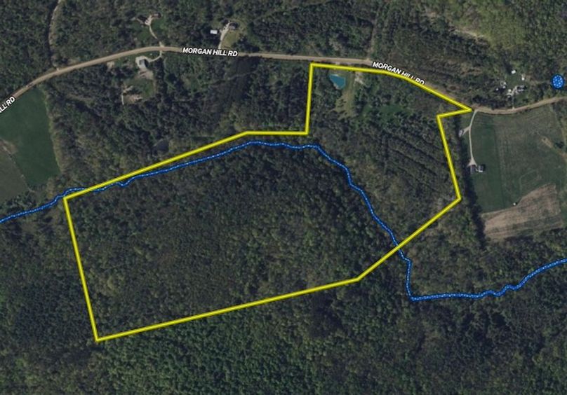 Land ID Wetlands