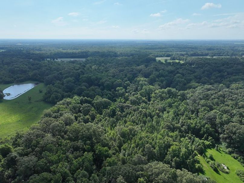 dji_fly_20240628_102528_595_1719590806204_photo