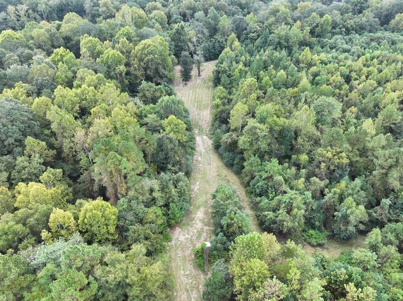 dji_fly_20250924_101256_0551_1758726279653_photo