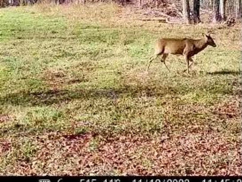 69e926bd-a52a-433e-8cf7-c95d0b16eadf