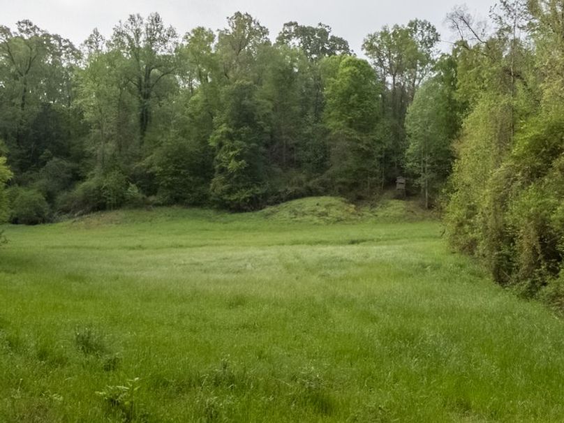 Claiborne Co-314-Fernandez-83