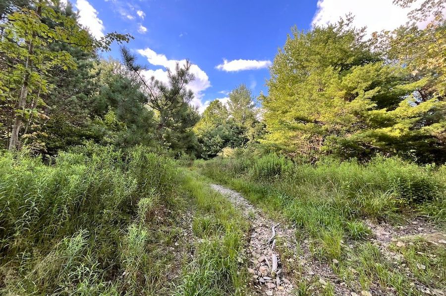 Chemung_31.822_Gutchess_Lumber_Photos_3