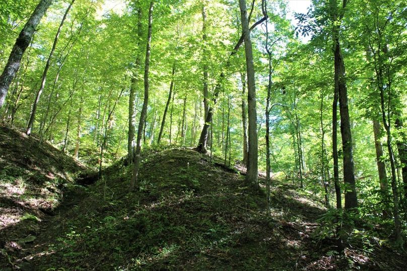 018 a shaded knob along the main valley creek