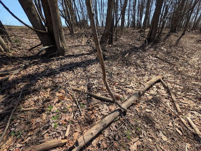 PXL_20260326_162125086