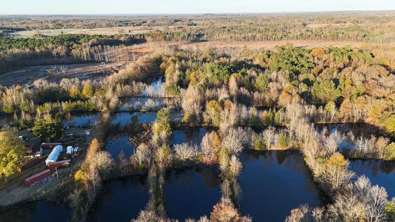 dji_fly_20251114_074154_0977_1763127701239_photo