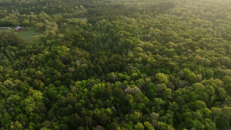 Marion TX 143 and 117 Featured_WEB.00_06_03_11.Still021