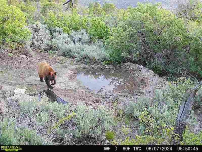 860516060007964-100-2-06072024055044-V-W1001134