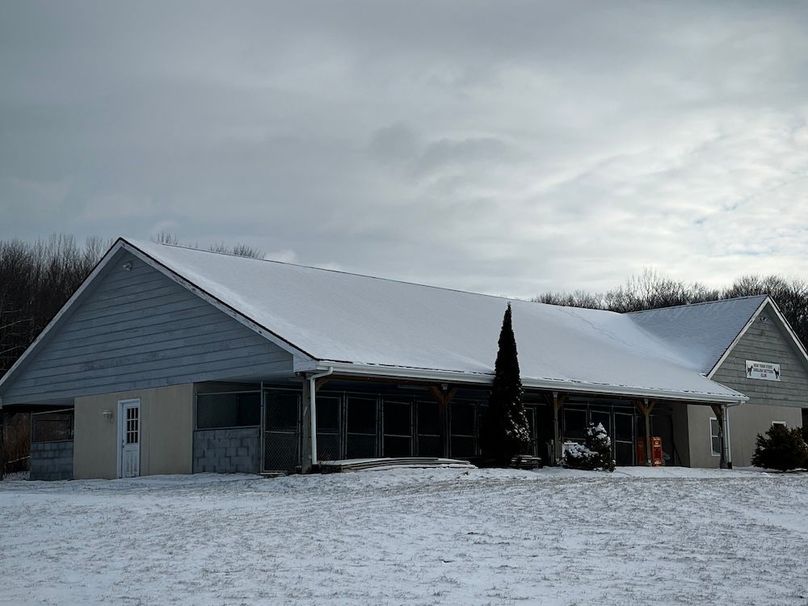 Photo49