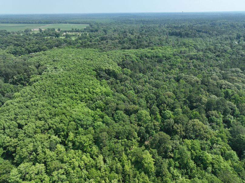 dji_fly_20230530_111542_140_1685483362304_photo