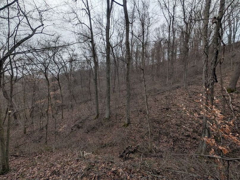 PXL_20260107_164657939