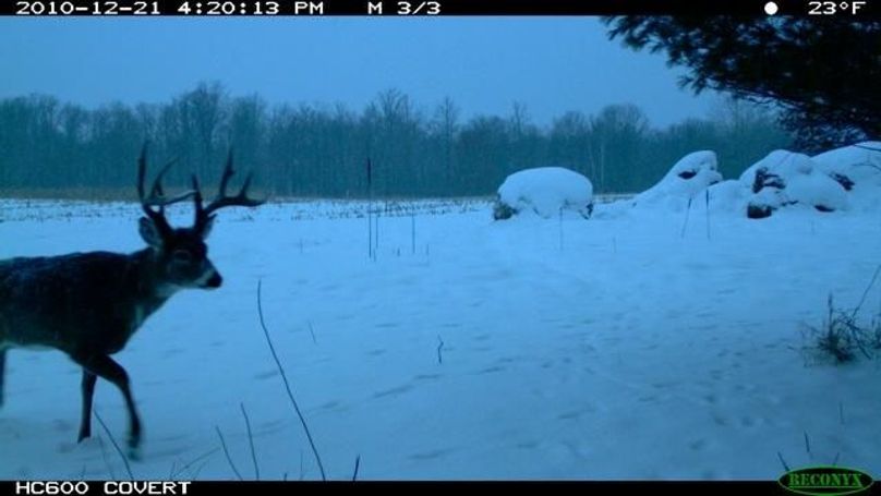 image-5