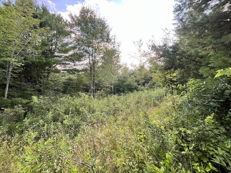 Chemung_78.26+Gutchess_Lumber_Photos_26