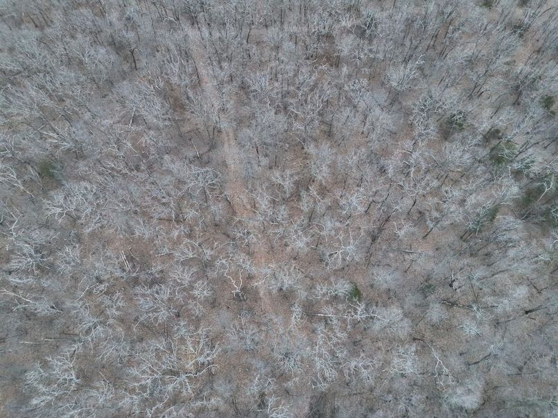 DJI_20260124001505_0015_V